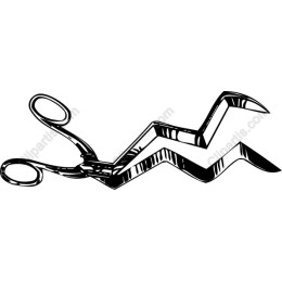 Stylish Scissors