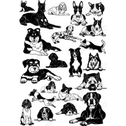 Dog Breed Bundle