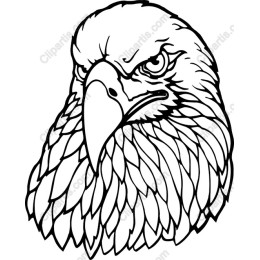 Fierce Eagle Head