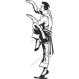 Dynamic Martial Arts Pose