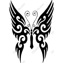 Elegant Butterfly