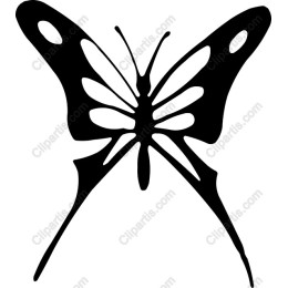 Black Butterfly