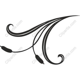 Elegant Flourish