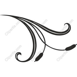 Elegant Floral Flourish