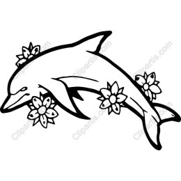 Dolphin and Floral