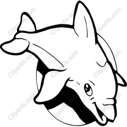 Playful Dolphin