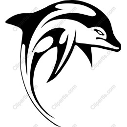 Elegant Dolphin
