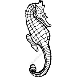 Seahorse