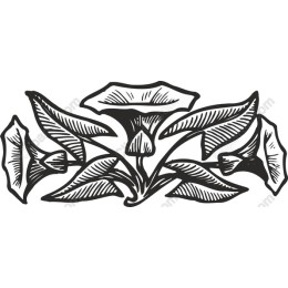 Hand-Drawn Floral