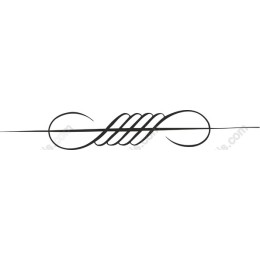 Elegant Sewing Needle