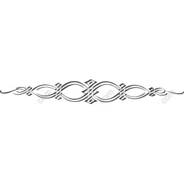 Elegant Decorative Border