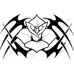 Orchid Tattoo