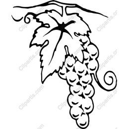 Grape Vine