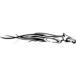 Graceful Greyhound