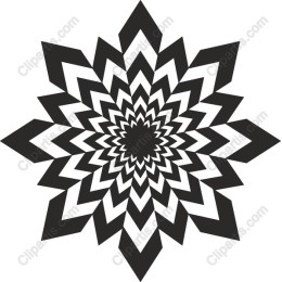 Starburst - Black and White