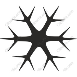Winter Elegance Snowflake