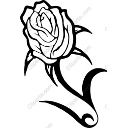 Elegant Black and White Rose