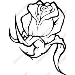 Stylized Black and White Rose
