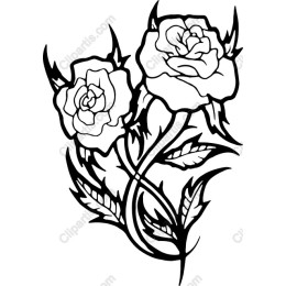 Elegant Black and White Rose