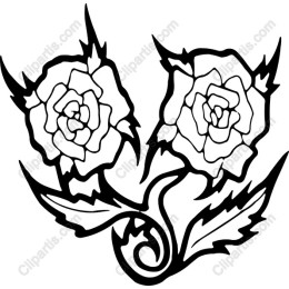 Two Roses