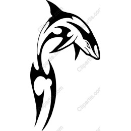 Majestic Orca