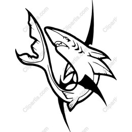 Fierce Shark