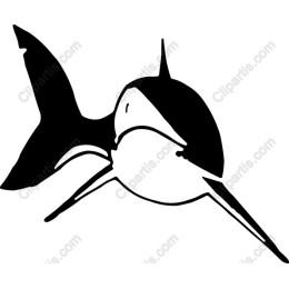 Elegant Marlin