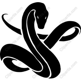 Black Snake
