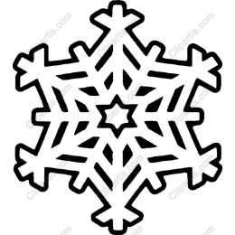 Elegant Snowflake