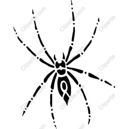 Black Spider