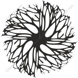 Organic Network - Intricatework