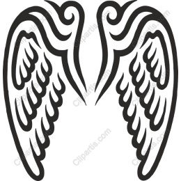 Elegant Angel Wings