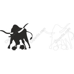 Bull