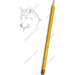 Wolf Sketch with Pencil