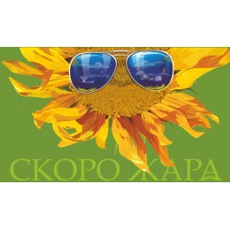 Summer Vibes: Sunglasses Sunflower