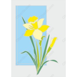Vibrant Daffodil