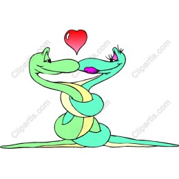 Playful Snake Love