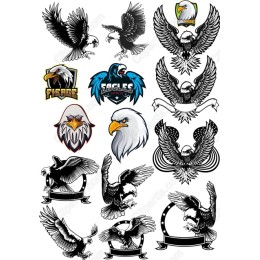Eagle Clipart Set - Bundle