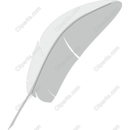 Elegant Feather