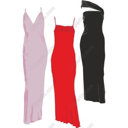 Elegant Dress Set