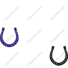Vibrant Dual Horseshoe