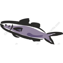 Vibrant Fish
