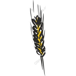 Elegant Wheat Spike