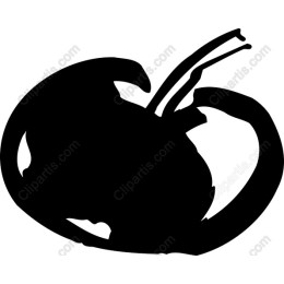 Hand-Drawn Tomato