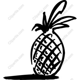 Hand-Drawn Pineapple