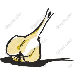 Garlic Bulb