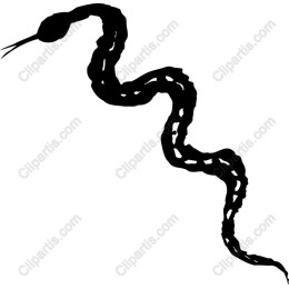 Elegant Snake