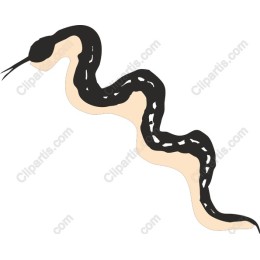 Elegant Snake