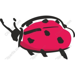 Charming Pink Ladybug