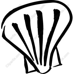 Scallop Shell